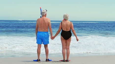 senior couple at the beach