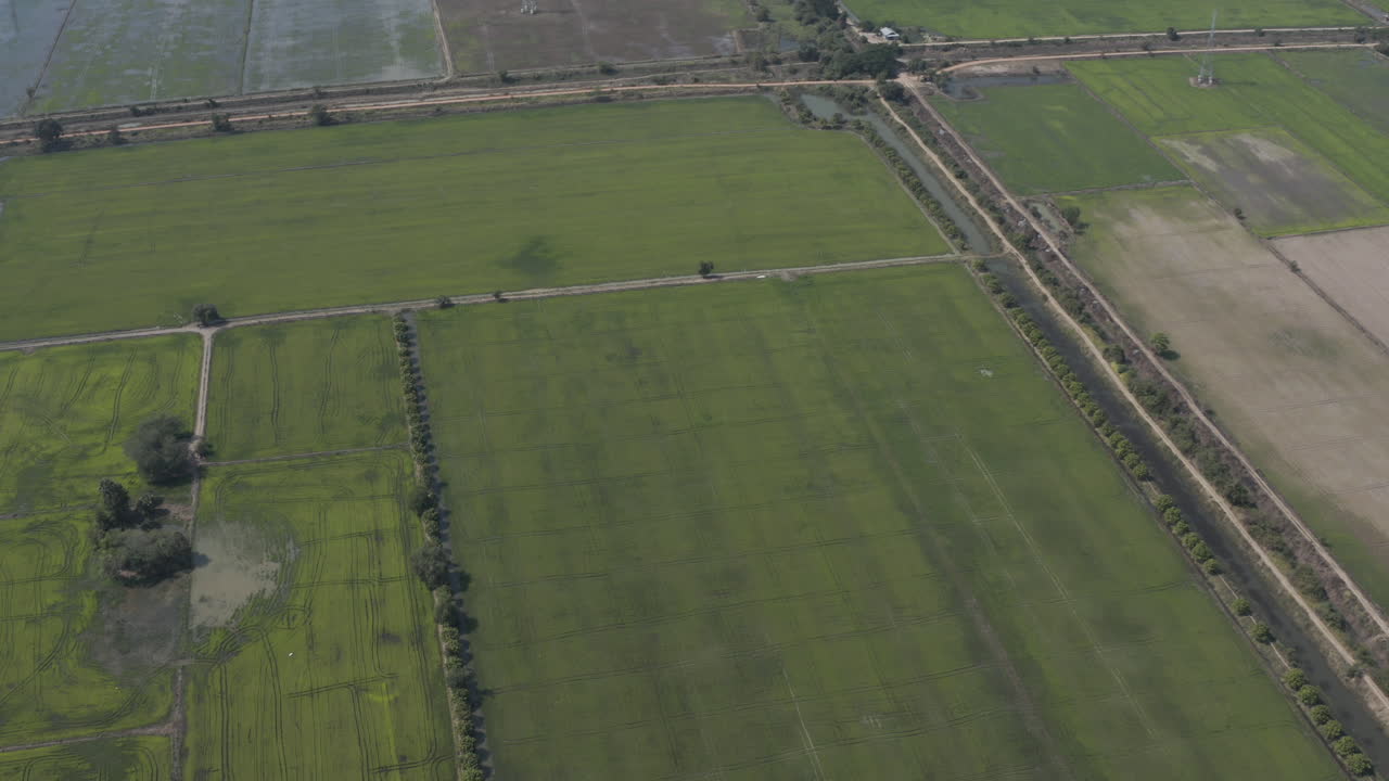 Slow fly over and reveal endless Rice fields in Cambodia