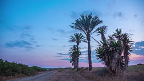 Timelapse-De-Palmeras-Y-El-Cielo-Con-Nubes-Durante-La-Puesta-De-Sol,-Nubes-Dinámicas