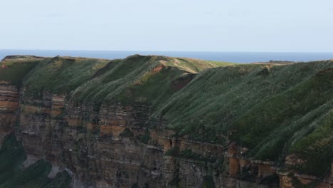 static shot of a coastal island protected for avian breeding in yorkshire