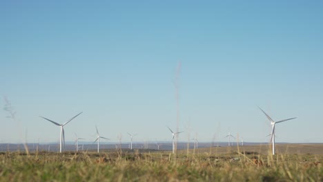 Wind-turbines-blowing-in-wind-in-big-landscape,-low-angle-with-grass-in-foreground