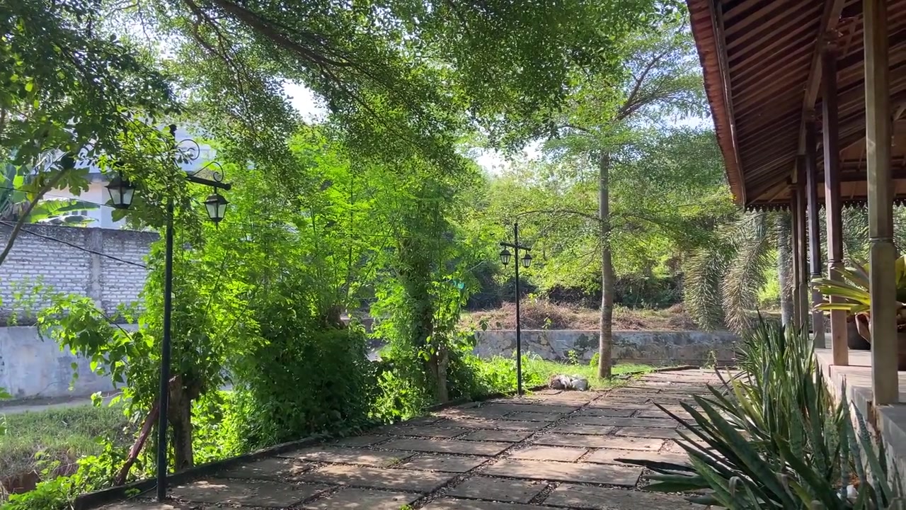 Sendero de piedra tranquilo que atraviesa un exuberante jardín verde