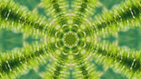 kaleidoscope geometric animated pattern abstract nature