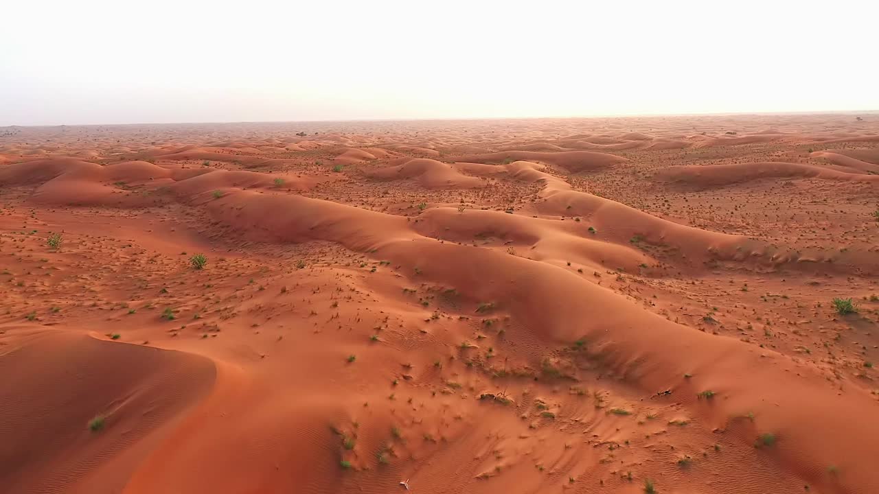 Video 4K, riprese drone del deserto del Parco Geologico di Buhais a Sharjah con increspature di sabbia, paesaggio geologico di deserto con alte dune negli Emirati Arabi Uniti.