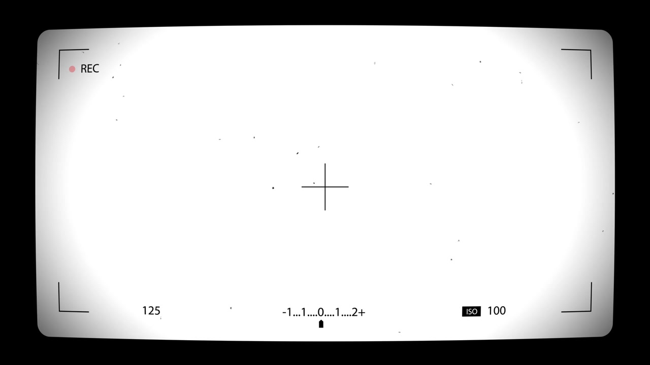 Digital Camera Viewfinder Overlay with Recording Indicator