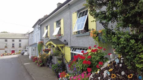 kilkenny hell gemaltes haus mit bunten blumentöpfen auf einer seitenstraße im dorf im herbstmorgen