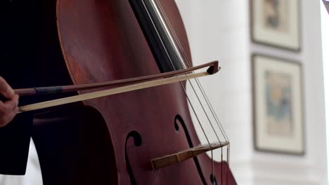 cuerdas de un violonchelo con arco, detalle macro de un instrumento musical