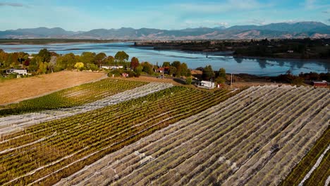 aerial tilt view over a small vineyard in new zealand with high mountains in the backdrop