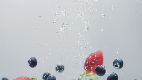 video of berries falling into water with copy space on white background
