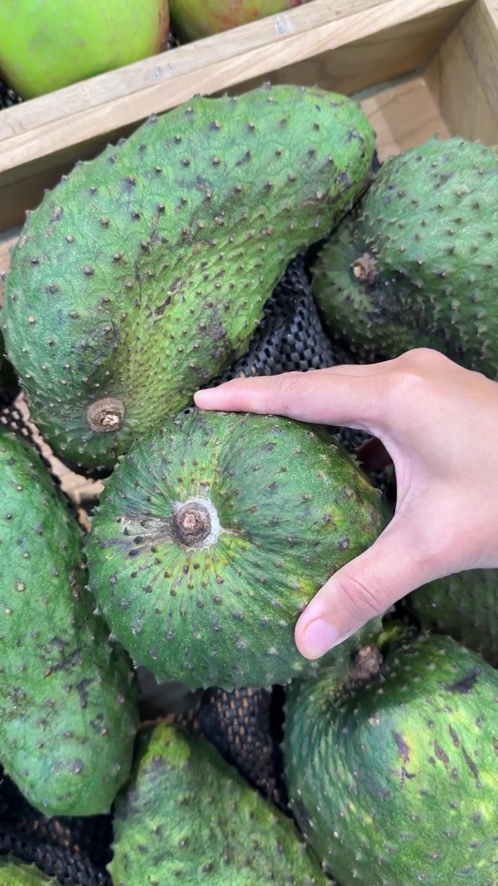 Escolhendo a Dedo Fruta Fresca de Graviola em um Supermercado