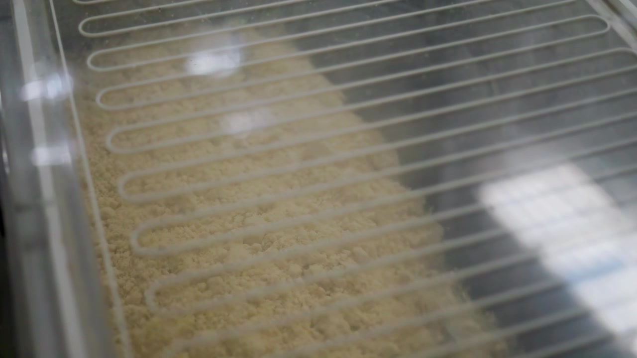 Industrial Kneading Machine Mixing Flour and Dough Ingredients Through Glass Cover