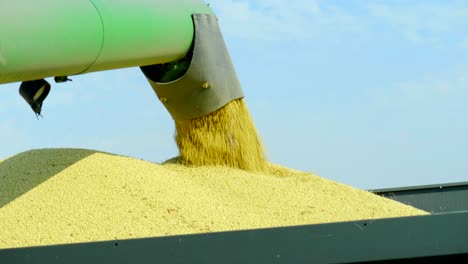 Combine-emptying-corn-into-an-auger-wagon-on-a-fall-harvest-day