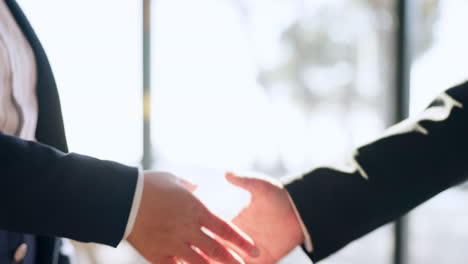 ceo, boss or businessman shaking hands in b2b