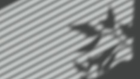 Animation-of-window-shadow-of-leaves-and-blinds-over-grey-background