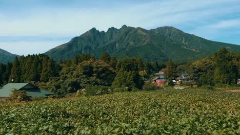 Aso-City,-Field-and-Mountain