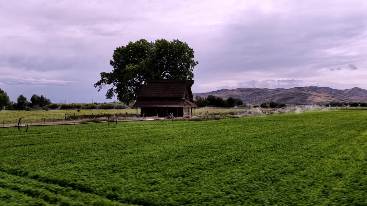 Lavtflyvende luftdrone-parallax af en rustik hytte på en grøn gård, mens vandingssprinklere vander frodige afgrøder, indrammet af dramatiske bjerge og stemningsfuld overskyet belysning