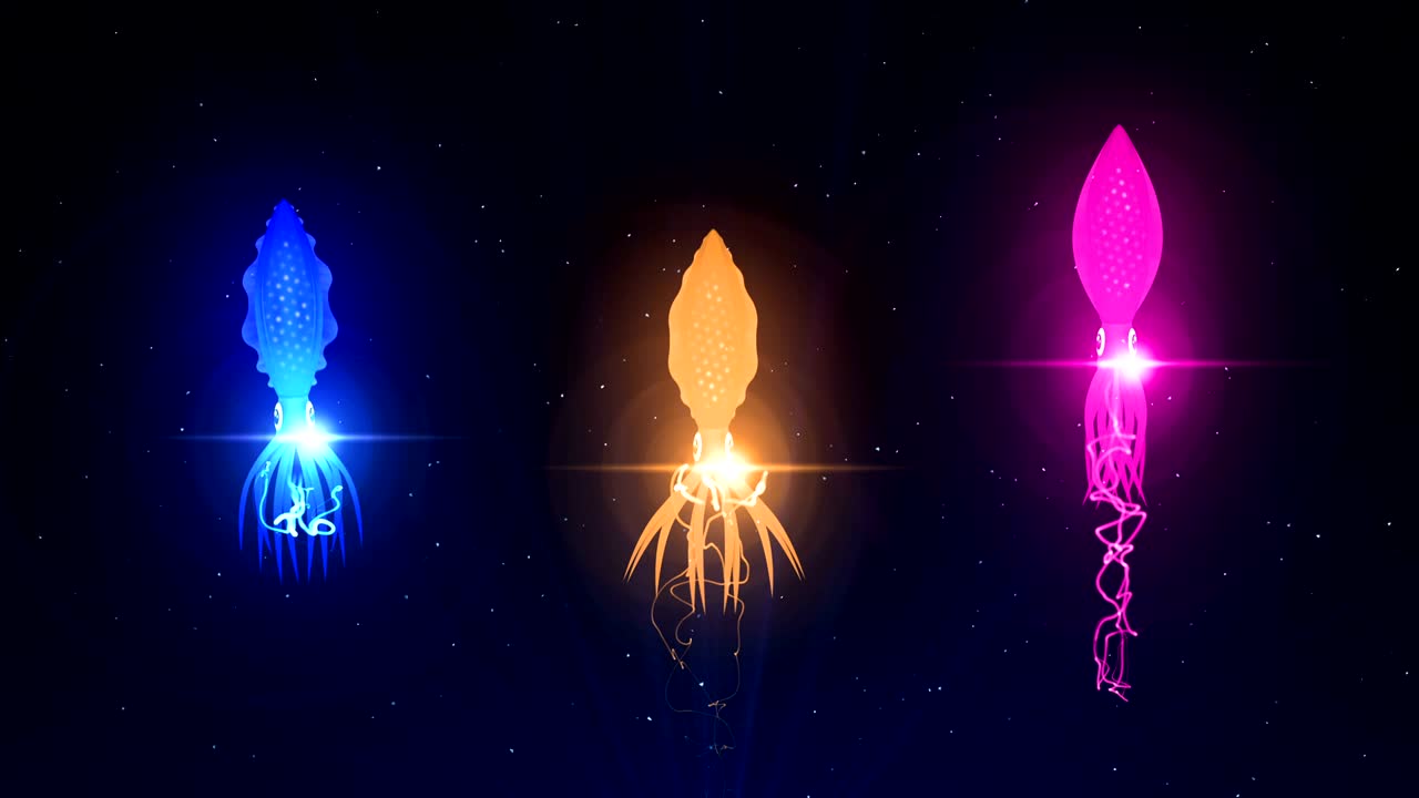 수중에서 컬러 빛으로 조명된 오징어, cg 애니메이션, 루프