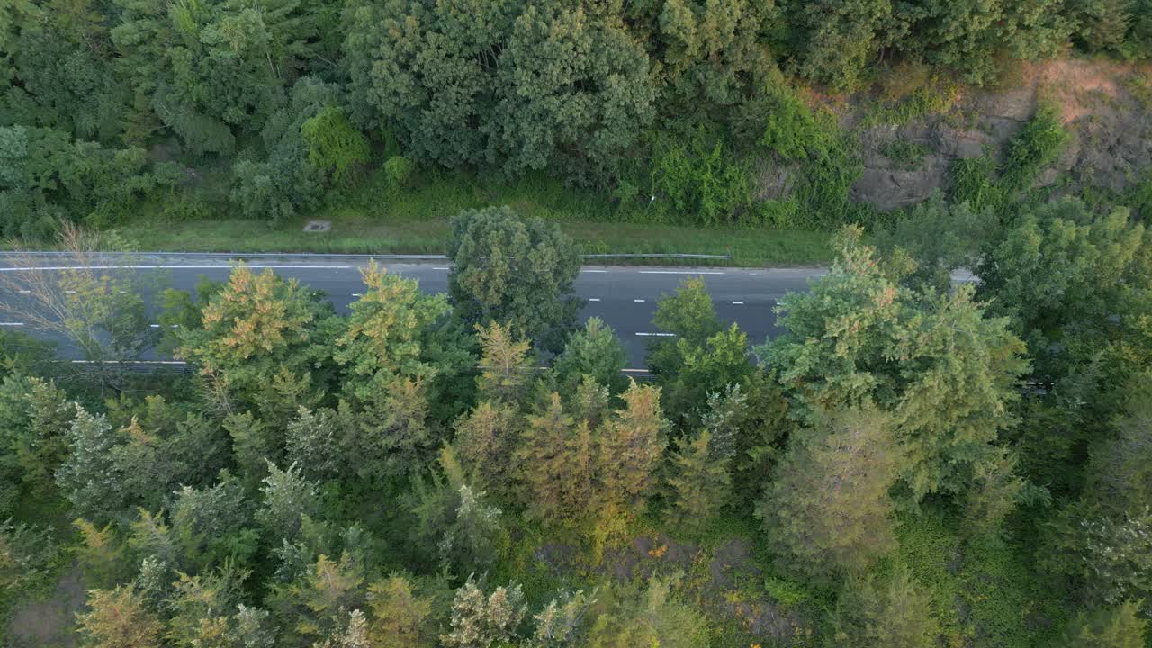 carretera de asfalto en medio del bosque verde. inclinación aérea hacia abajo