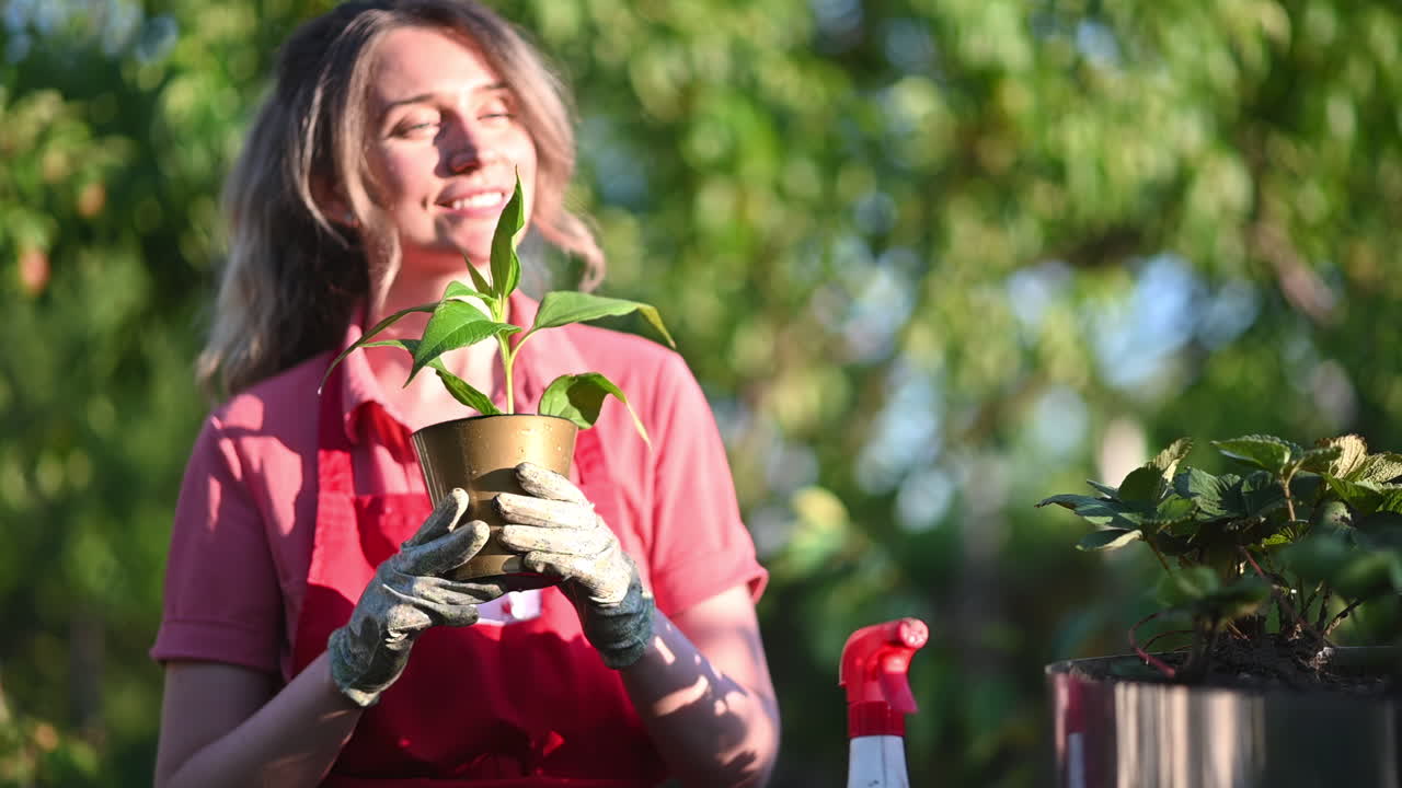 Happy female gardener wearing gloves and apron, holding a green potted plant while enjoying the sunshine
