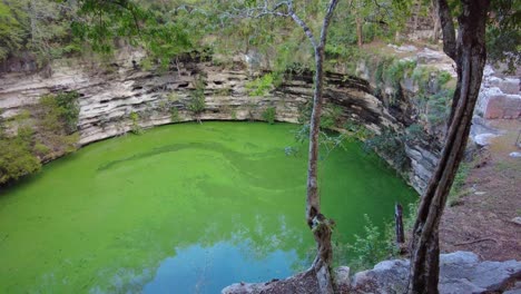 Erleben-Sie-Die-Atemberaubende-Schönheit-Einer-Cenote,-Eines-Naturwunders,-Das-Von-Zeit-Und-Wasser-Geschaffen-Wurde