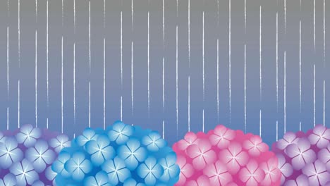 animación en bucle de la lluvia que cae sobre las flores de la hortensia