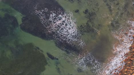 Vista-De-Arriba-Hacia-Abajo-Del-Agua-Prístina,-El-Arrecife-Y-La-Costa