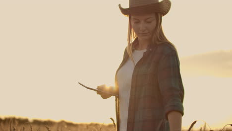 A-female-farmer-in-a-plaid-shirt-with-a-tablet-computer-in-her-hands-is-walking-across-a-wheat-field-at-sunset-checking.-The-quality-and-maturity-of-the-crop