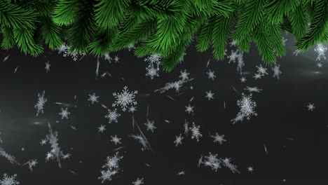 Animation-of-christmas-tree-branches-over-falling-snow