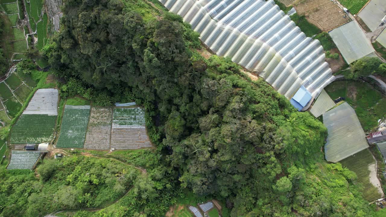 말레이시아의 카메론 하이랜드 지역 내의 브린창 지역의 일반 풍경