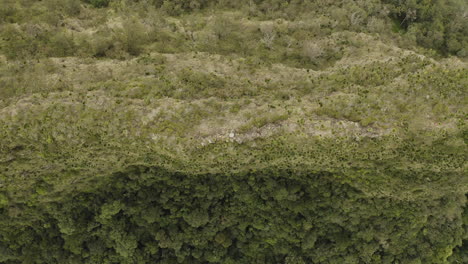 4k drone shot of australian mountain ridge at border ranges national park