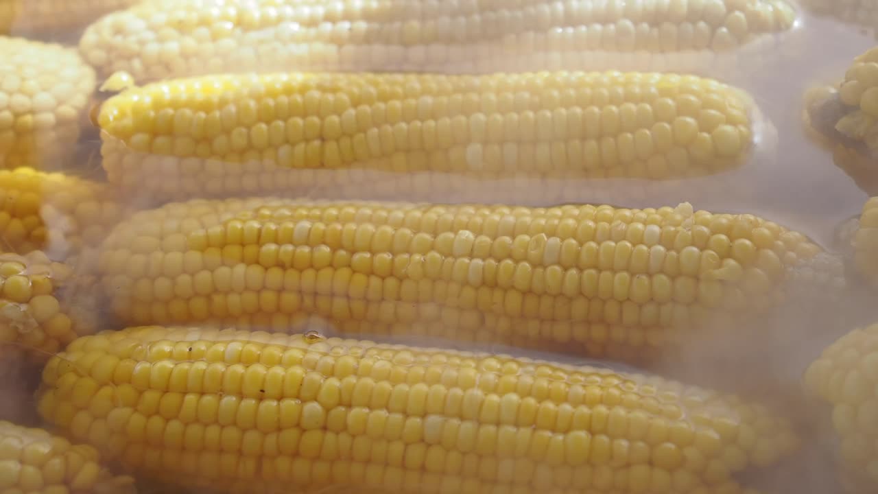Boiling Corn on the Cob