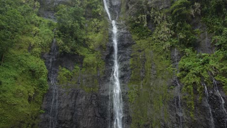 a small waterfall in the jungle of a tropical pacific island in faarumai, tahiti, french polynesia