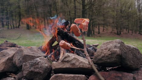 Speckgrillen-An-Der-Feuerstelle-Im-Wald