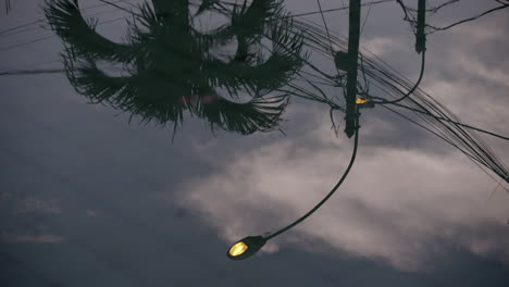 poste de luz y palmera reflejados en un charco al final del día