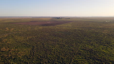 Vista-Aérea-De-Exuberantes-Tierras-De-Cultivo-Verdes-Con-árboles-En-La-Distancia