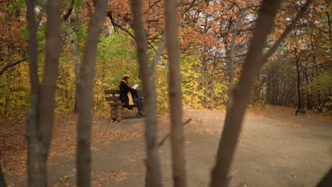 side view of a young lady in a yellow beret seated on a wooden bench, surrounded by scattered autumn leaves and foliage in a serene park setting