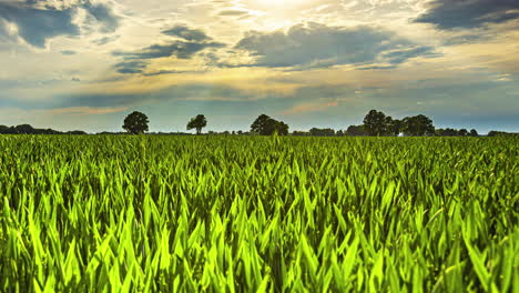 Timelapse-of-clouds-advancing-with-sunrays-with-a-green-grass-field-and-trees-below