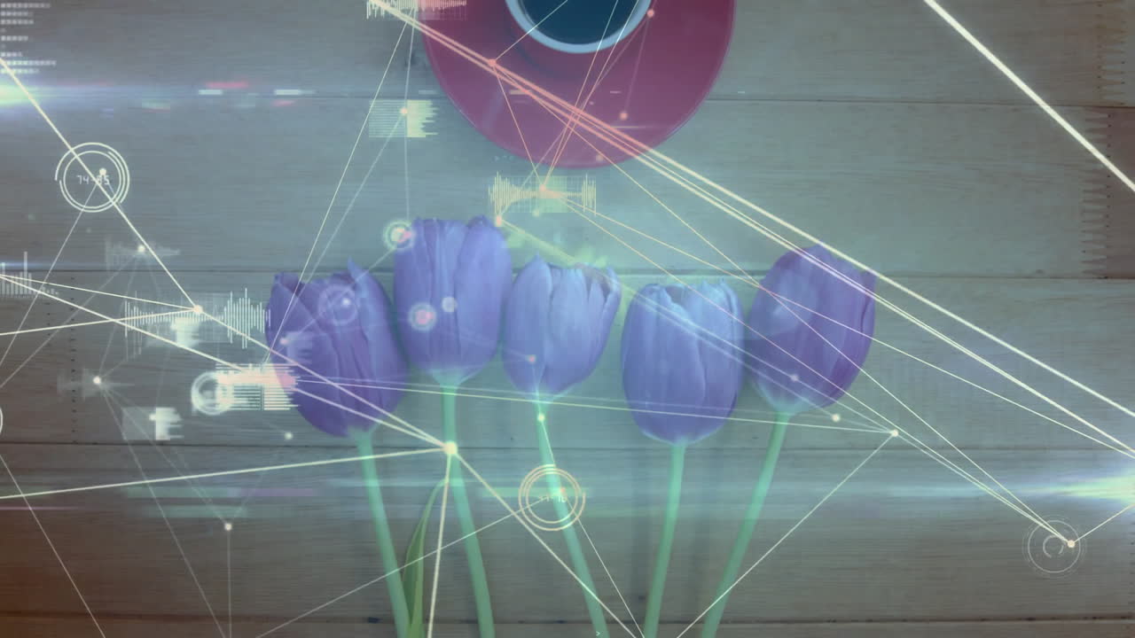 Five purple tulips being visualized in studio, with glowing lines, digital overlays and wood planks