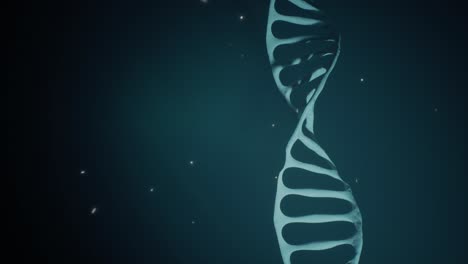 animación renderizada en 3d de una molécula de adn giratoria en un fondo azul. concepto de genética