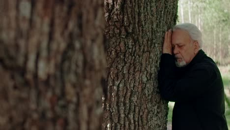 elderly man by a tree
