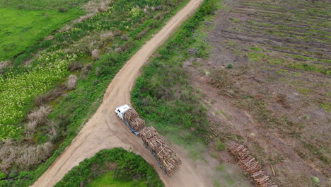 a truck hauling wooden logs along a dirt road with surrounding greenery and cleared land