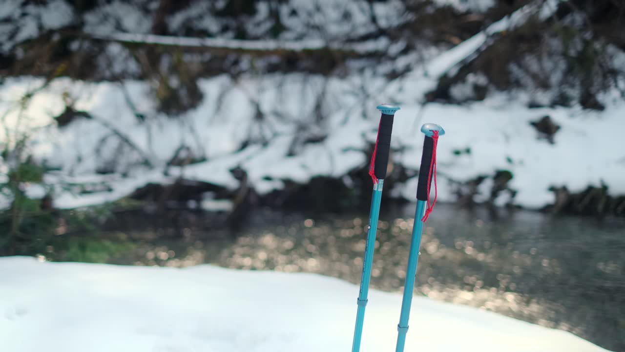Hiking Poles in Snowy Forest Landscape