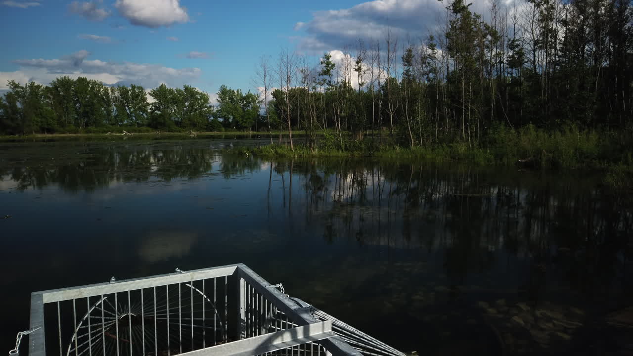 Metallic fish trap in foreground, smooth pond surface and wooded shoreline in background at Tommy Thompson Park, wide shot with tilt up