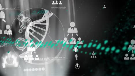 Animación-Del-Procesamiento-De-Datos-Sobre-Fondo-Negro