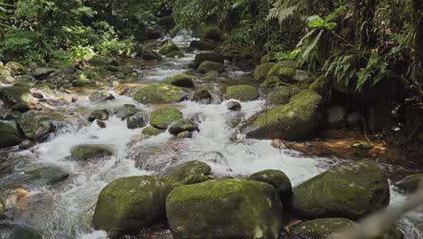 View-from-a-wooden-bridge-above-a-river-stream-inside-a-rainforest-amazon-jungle-with-rocks-and-tropical-plants