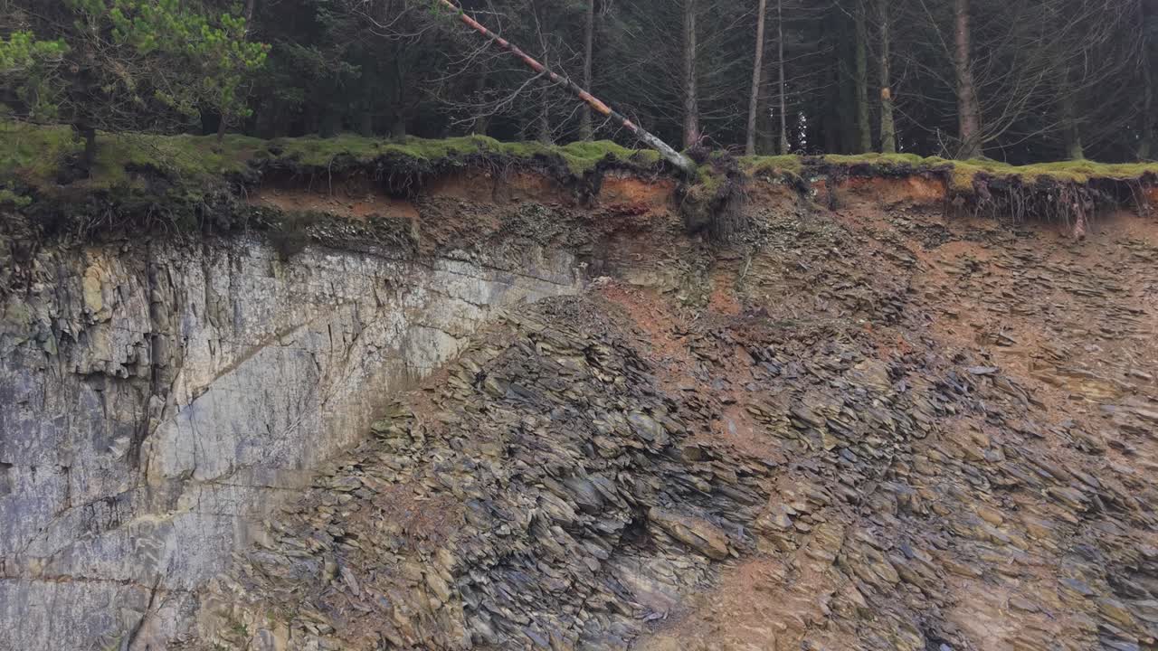 Soil Erosion - Exposed Tree Roots On The Cliff. - zoom out shot