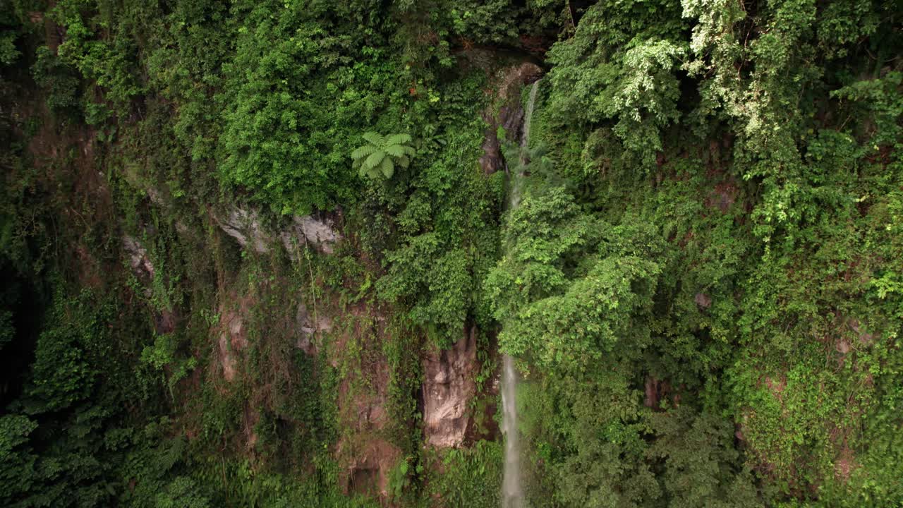 Lush Waterfall Scene