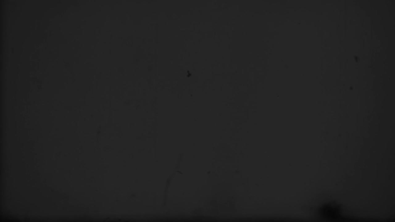 película líder cuenta atrás, vieja película cuenta atrás carrete de película, imitación de una vieja película con ruido y arañazos video de stock