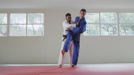 judokas training by doing a randori on the judo mat