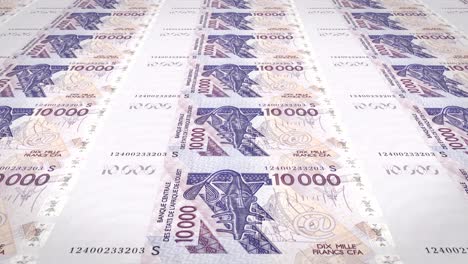 billetes de diez mil francos cfa de áfrica occidental, dinero en efectivo, bucle